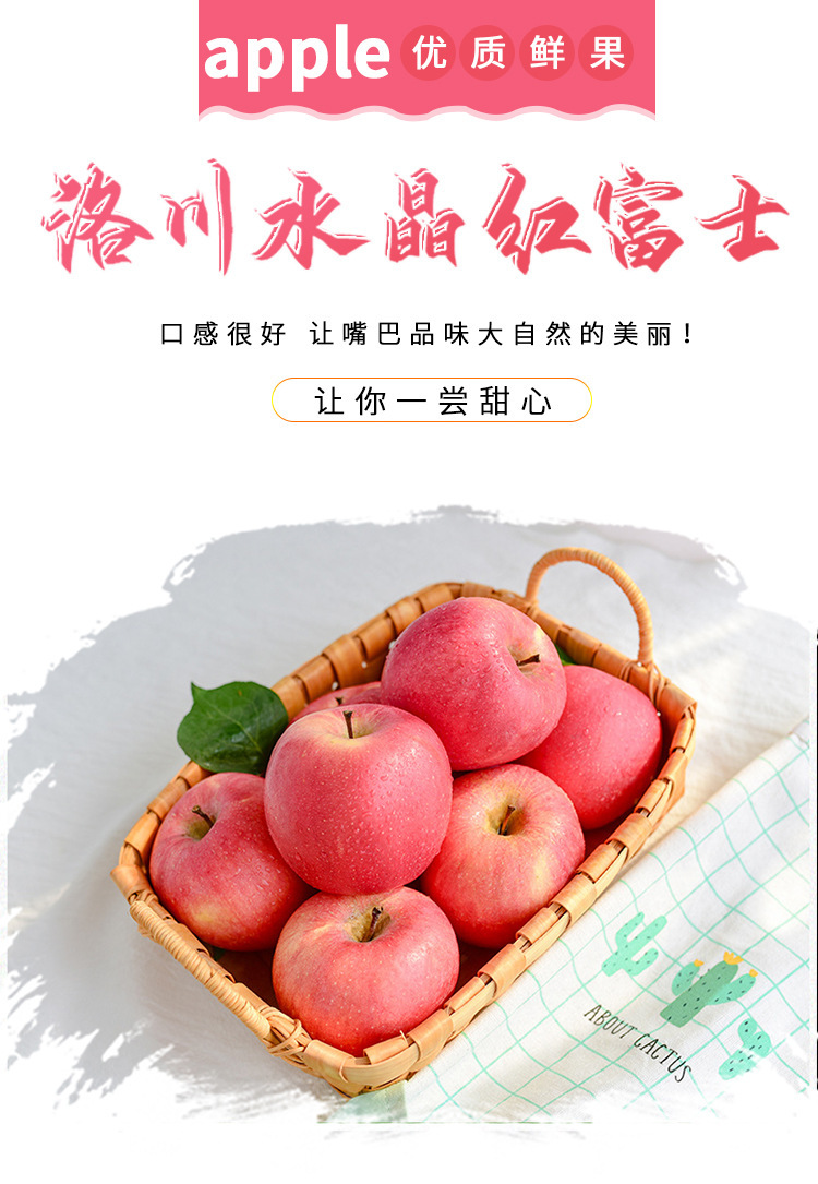 陕西洛川红富士苹果 陕西洛川红富士苹果